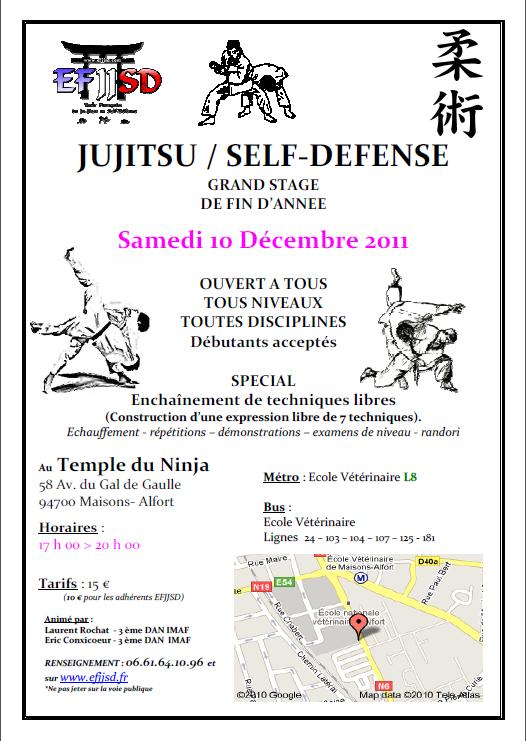 stage_jujitsu_efjjsd_maisons-alfort_10decembre2011