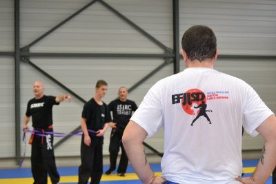 stage sarc efjjsd octobre 20124