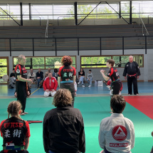 Stage jubille jujitsu alsace (13)