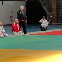 Stage jubille jujitsu alsace (15)