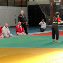 Stage jubille jujitsu alsace (16)