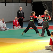 Stage jubille jujitsu alsace (17)