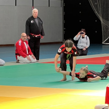 Stage jubille jujitsu alsace (18)