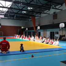 Stage jubille jujitsu alsace (5)