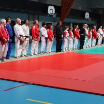 Stage jubille jujitsu alsace (6)