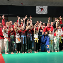 Stage jubille jujitsu alsace (9)